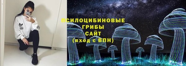 Альфа ПВП Абаза