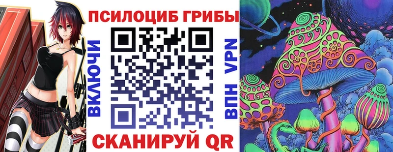Псилоцибиновые грибы Psilocybe кракен ONION Барыш сколько стоит
